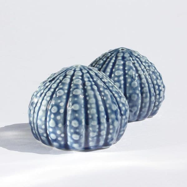 Sea Urchin Salt and Pepper Shakers | Salt and Pepper Set
