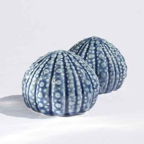 Sea Urchin Salt and Pepper Shaker Set