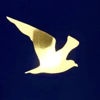 Seagull Gold Foil Print | Metallic Art Print | Nichol Foster