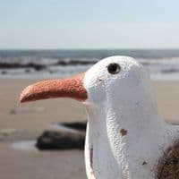 Seagull Sitting | Decorative Wooden Bird