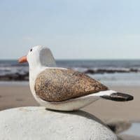 Seagull Sitting | Decorative Wooden Bird