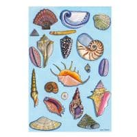 Seashells on Blue | A3 Print | Andrew Ruffhead