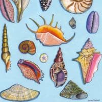 Seashells on Blue | A3 Print | Andrew Ruffhead