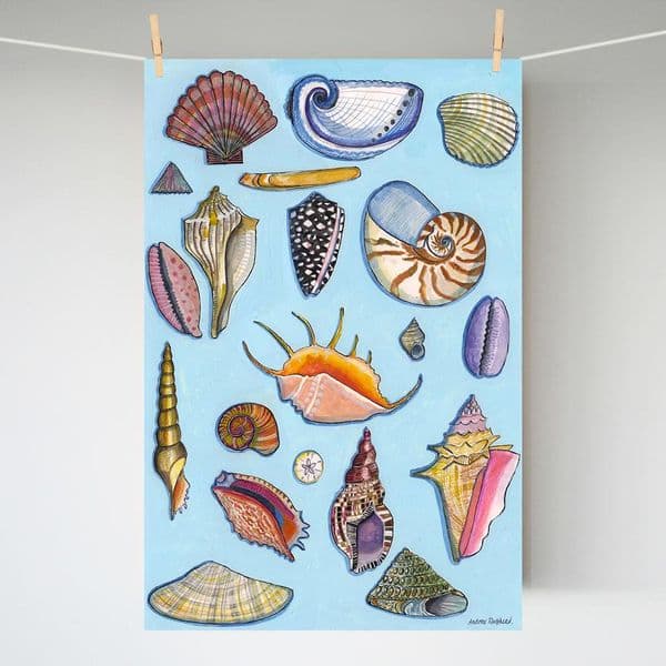Seashells on Blue | A3 Print | Andrew Ruffhead