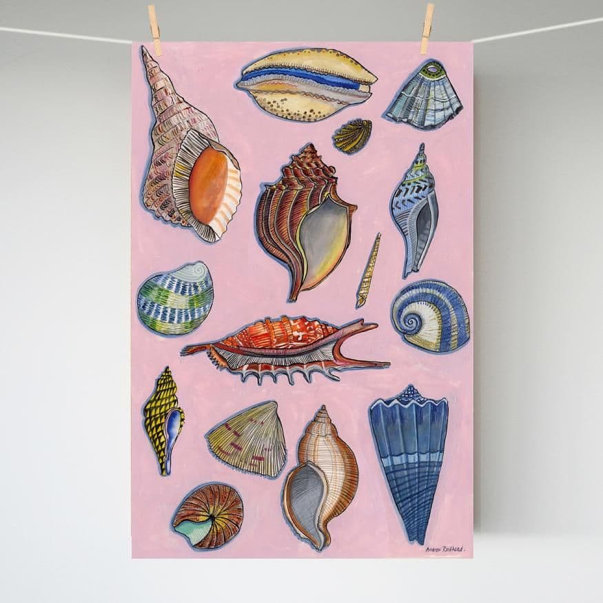 Seashells on Pink – A3 print