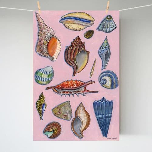 Seashells on Pink – A3 print