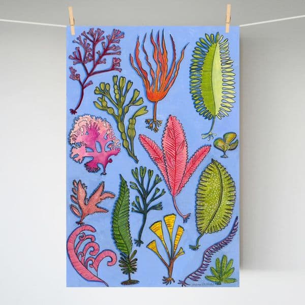 Seaweed | A3 Print | Andrew Ruffhead