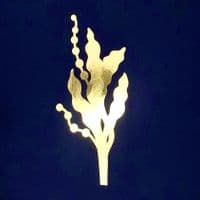 Seaweed Gold Foil Print | Metallic Art Print | Nichol Foster