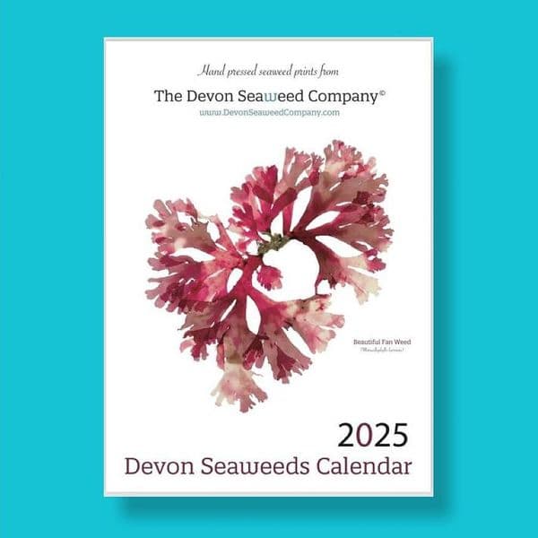 Seaweeds - 2025 A4 Calendar