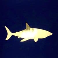 Shark Gold Foil Print | Metallic Art Print | Nichol Foster