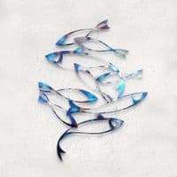 Shoal - Tempered Steel Fish Wall Art by Janet Mary Robinson