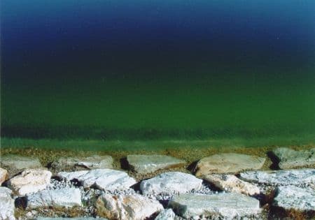 Shoreline - Coastal Card