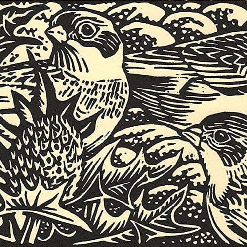 Snow Buntings and Sea Holly