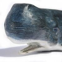 Sperm Whale Sculpture | Sperm Whale Model