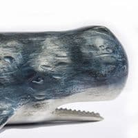 Sperm Whale Sculpture | Sperm Whale Model