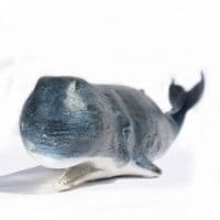 Sperm Whale Sculpture | Sperm Whale Model
