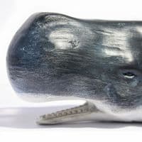 Sperm Whale Sculpture | Sperm Whale Model