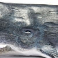 Sperm Whale Sculpture | Sperm Whale Model