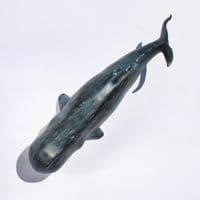 Sperm Whale Sculpture | Sperm Whale Model