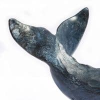 Sperm Whale Sculpture | Sperm Whale Model