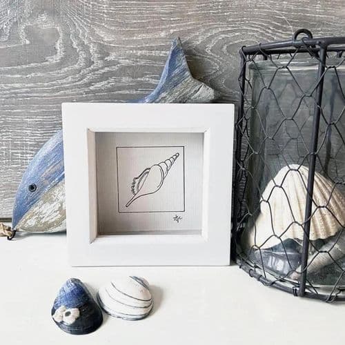 Spindle Shell – Framed Hand Drawn Illustration