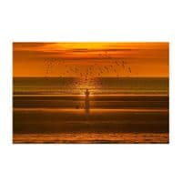 Spirited Away | Art Photography Print | Cliff Kinch