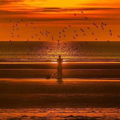 Spirited Away - Photography Print