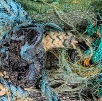 Splish | Textile Art |  Coastal Artwork | Lucinda Button