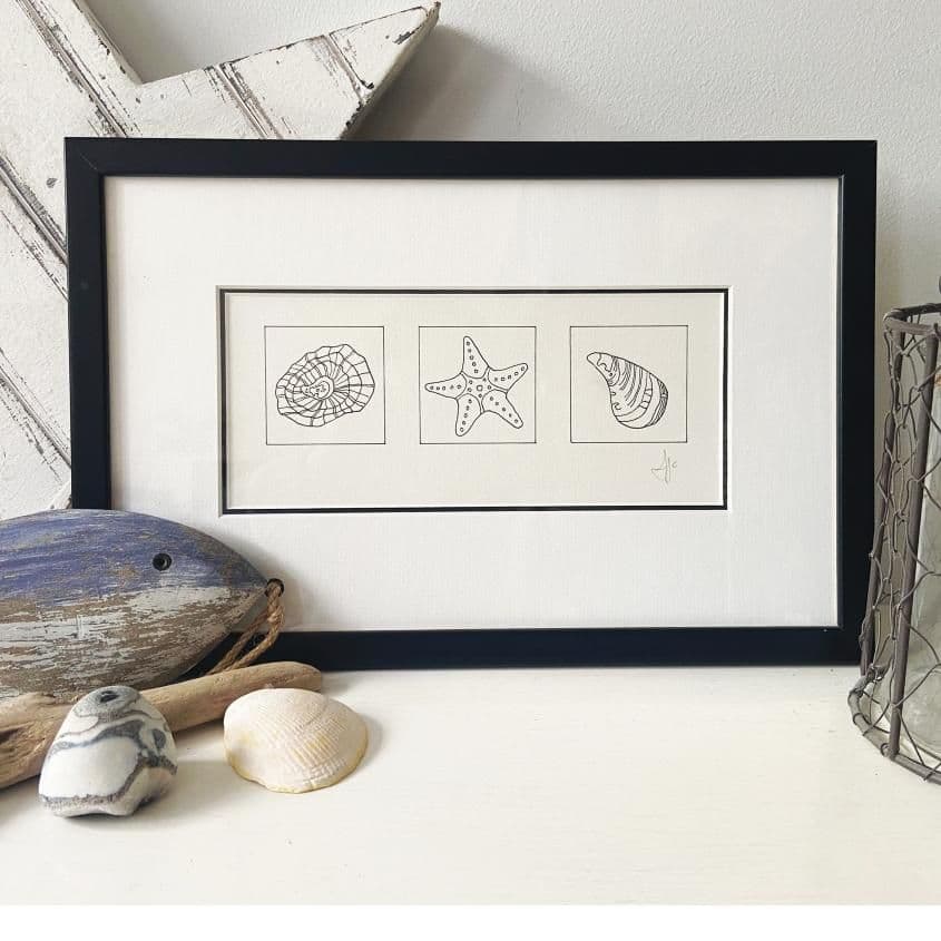 Starfish - Hand Drawn Illustration