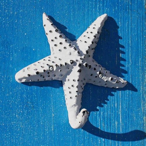 Starfish Shaped Wall Hook