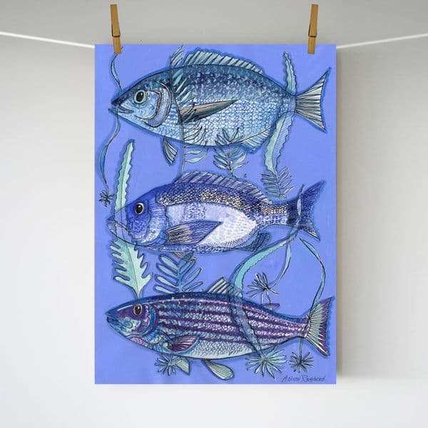 Three Blue Fish | A3 Print | Andrew Ruffhead