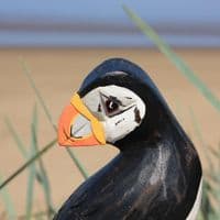 Three Puffins Bird Carving | Large Carved Wooden Birds