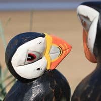 Three Puffins Bird Carving | Large Carved Wooden Birds