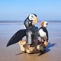 Three Puffins Bird Carving | Large Carved Wooden Birds