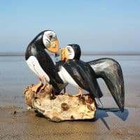 Three Puffins Bird Carving | Large Carved Wooden Birds
