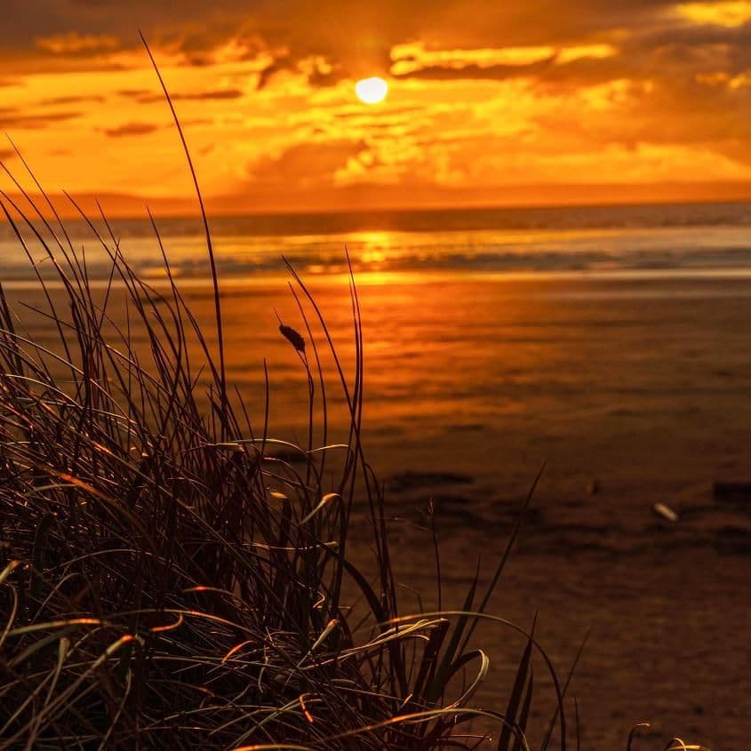 Through the Reeds - Photography Print