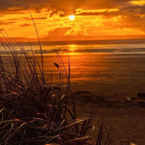 Through the Reeds | Art Photography Print | Cliff Kinch