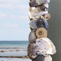 Tidal Coast Seashell Wall Mirror | Seashell Mirror