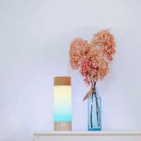 Tide Lamp | Tide Indicator | Bring the rhythm of the ocean into your home