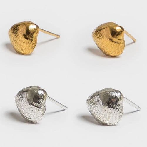 Tiny Cockle Shell Stud Earrings