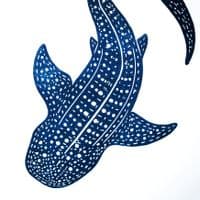 Whale Shark Linocut Print | Chris Taylor