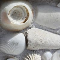 White Sea | Mosaic Art | Marcus Jubb