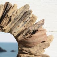 Wild Heart Driftwood Mirror | Wall Mirror | Coastal Mirror
