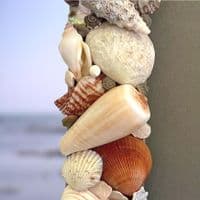 Windswept Beach Seashell Wall Mirror | Seashell Mirror