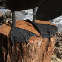 Wingspread Cormorant Bird Carving | Hand Carved Bird | Wooden Bird Carving