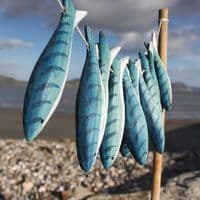 Wooden Fishing Boat | Coastal Décor