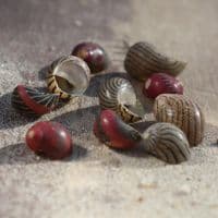 Zigzag Neritina Shell Pack | Neritidae Waigenis | Beach Shells