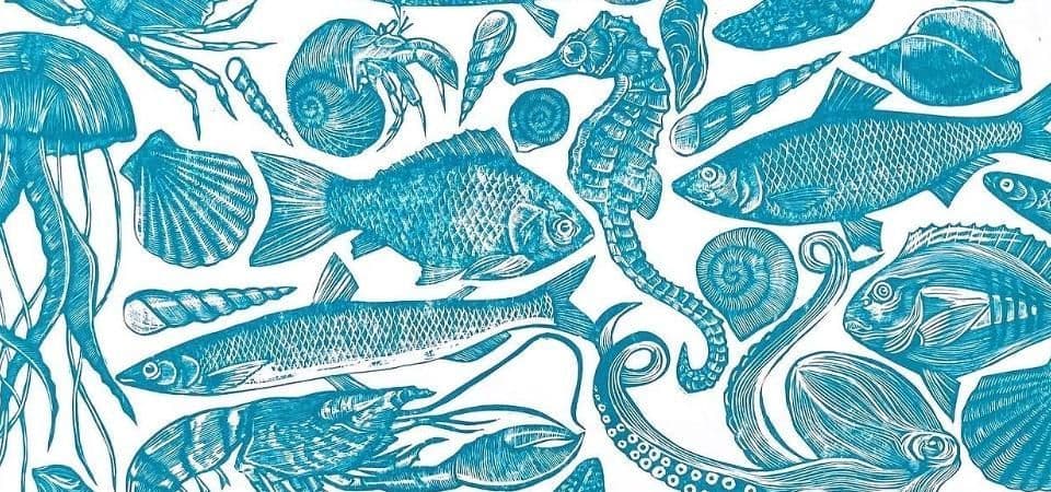 coastal art prints by Amy Cundall