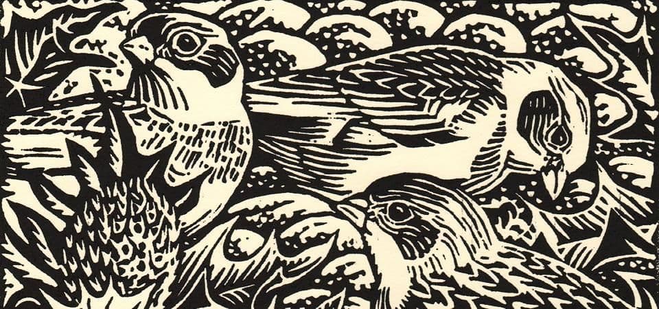 Coastal art print by Richard Allen