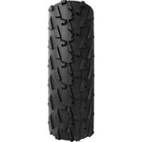 A Dugast Small Bird Tubeless